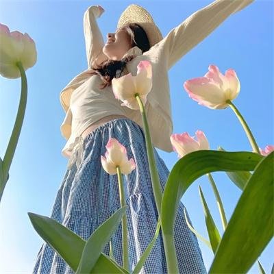 夏洛特的网