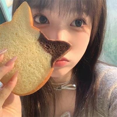 吸血鬼警探
